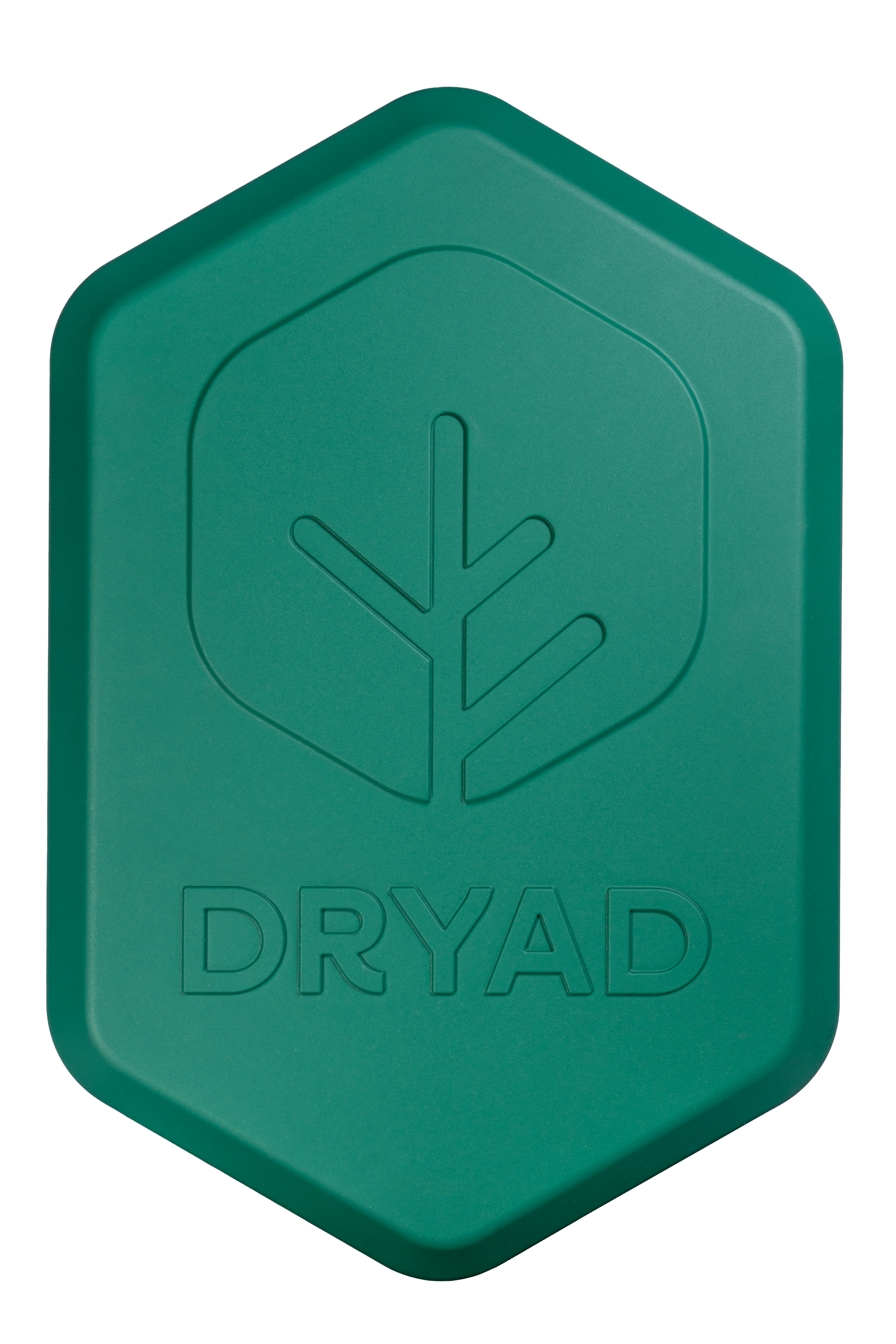 Border Gateway (3rd Gen).png